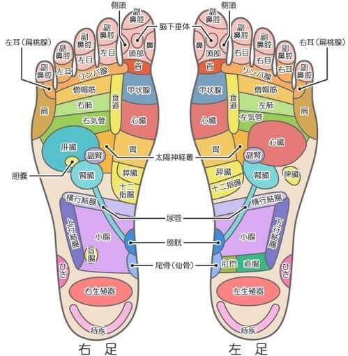瞳 恥 大臣 足 裏 マッサージ 100 均 Gemutlich Jp